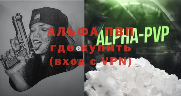 крисы Ельня