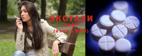 крисы Ельня