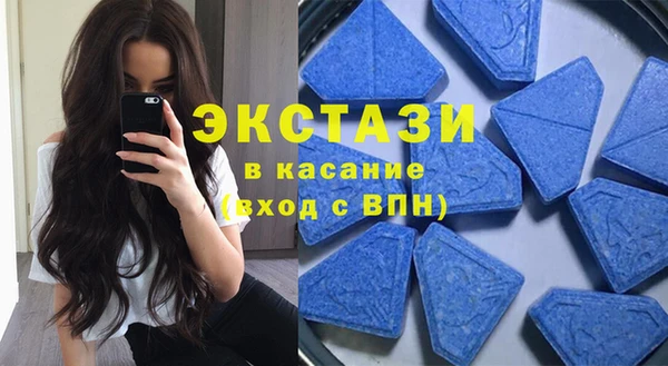 крисы Ельня