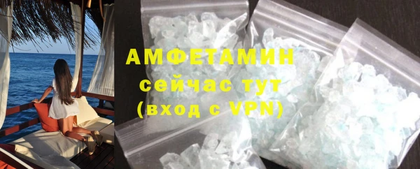 крисы Ельня